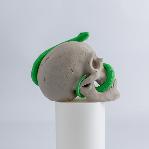 Snake Skull