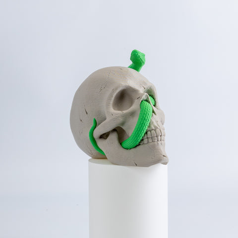 Snake Skull