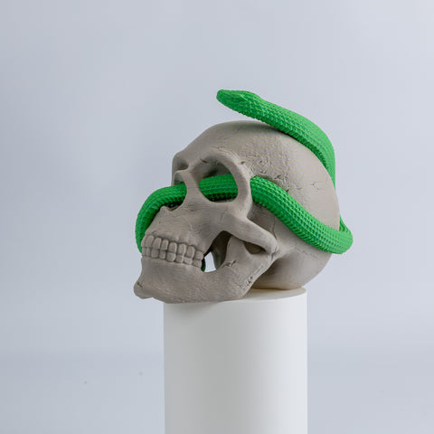 Snake Skull