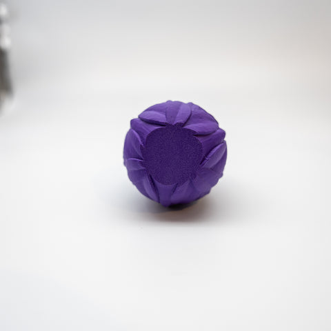 Rose Dragon Egg with Mystery Hatchling