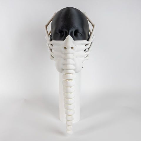 Alien FaceHugger Mask