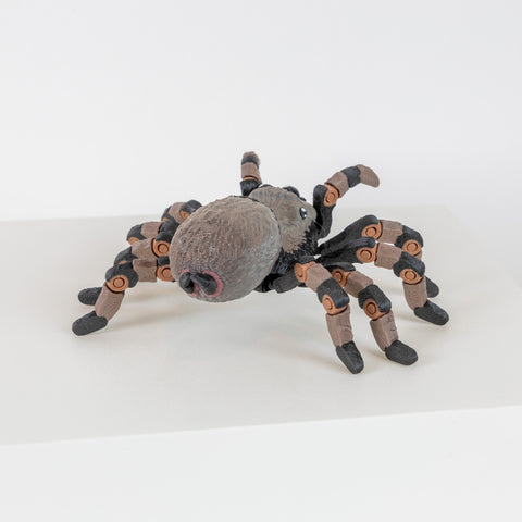 Tarantula