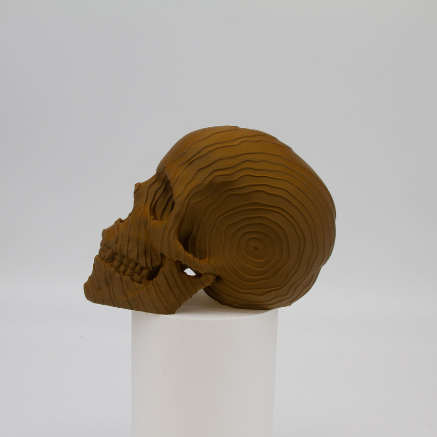 Wooden Topo Skull