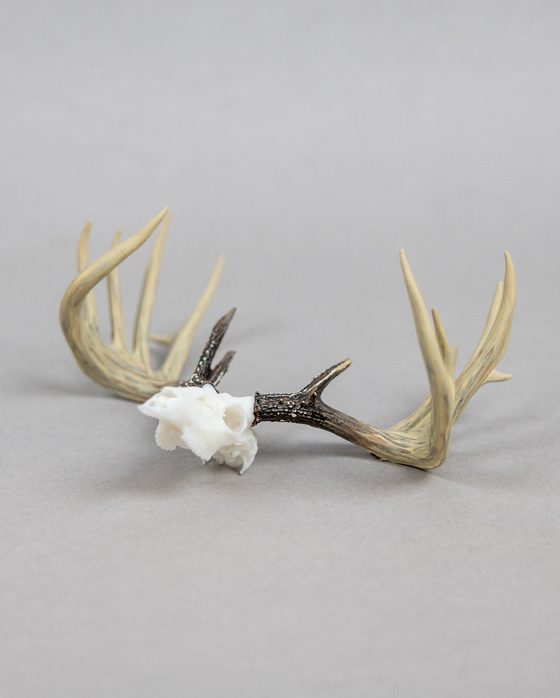 Fine detail resin printed antler skull, finished and unpainted
